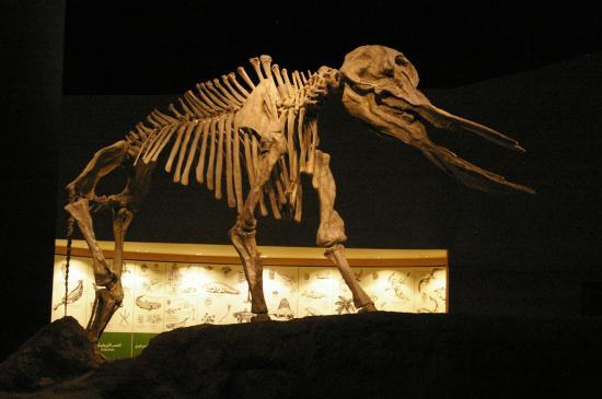 King Abdul Aziz Historical Centre